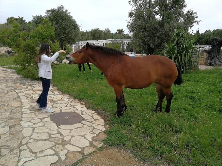 Masseria Sciaiani Piccola Villa Castelli エクステリア 写真