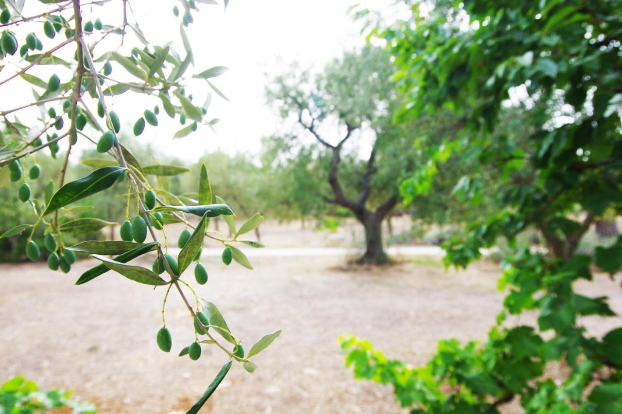 Masseria Sciaiani Piccola Villa Castelli エクステリア 写真