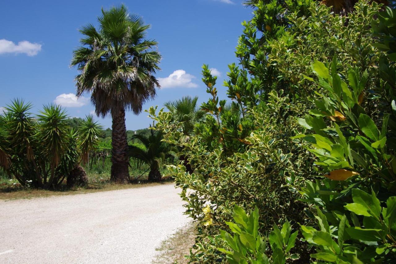Masseria Sciaiani Piccola Villa Castelli エクステリア 写真